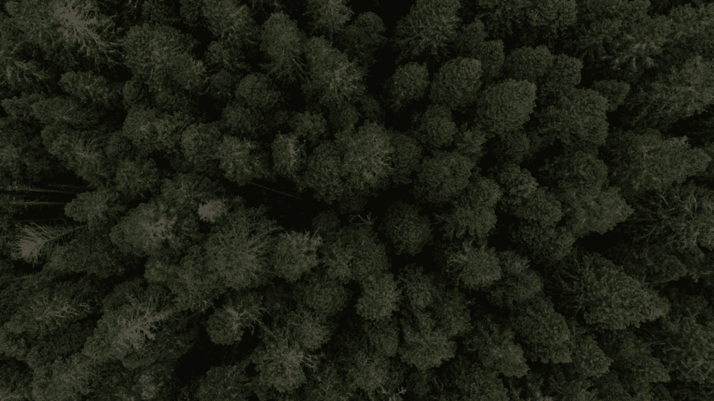 Search
